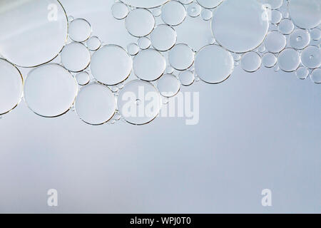 Macro of oil and water bubbles creating a scientific image of cell and cell membrane. Stock Photo