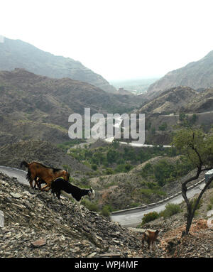 The Khyber Pass in Pakistan. Vehicles are on the Khyber Pass on the Pakistan side. The Khyber Pass is a road from Peshawar, Pakistan to Afghanistan. Stock Photo