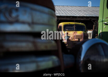 Rusty trucks fade in yard Stock Photo