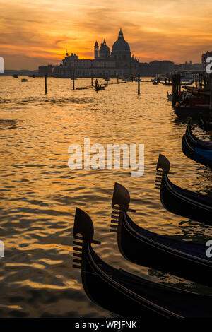 Golden sunset over Venetian Lagoon, Italy Stock Photo - Alamy