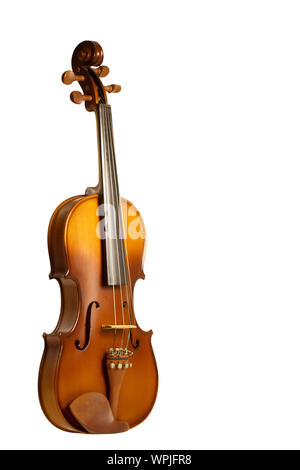 Violin on white background Stock Photo