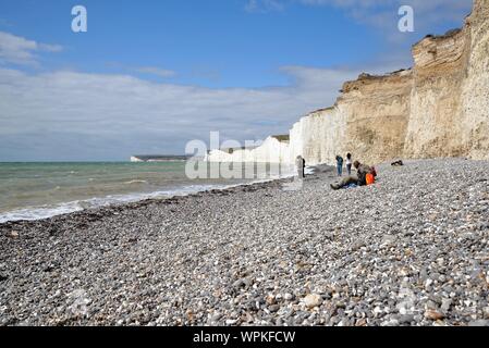The Seven Sisters chalk cliffs in the South Downs National Park,on a sunny summers day Birling Gap Eastbourne Sussex England UK Stock Photo