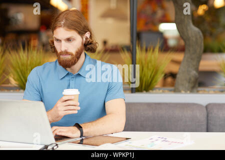 Serious bearded businessman sitting at the table drinking coffee from disposable cup and working online using laptop computer in cafe Stock Photo