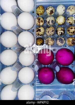 Directly Above Shot Of Various Eggs In Tray