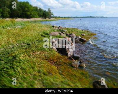 picturesque lake shore in summer, boulders in the foreground, tilt Stock Photo