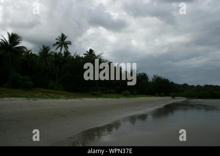 Mangrove Beach at Bloomfield Track in North Queensland, Daintree Rainforest, Cape Tribulation, Australia Stock Photo