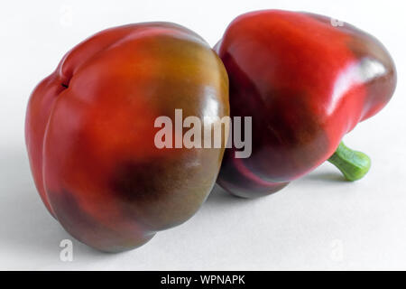 Two red peppers isolated on white background. Stock Photo