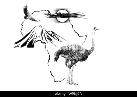 Ostrich on Africa map background with Kilimanjaro mountain, vulture and sun. Collection of hand drawn illustrations (originals, no tracing) Stock Photo