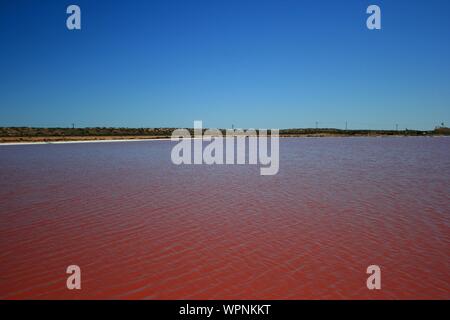 Hutt Lagoon, Pink Lake, Gregory, Kalbarri Area, West Coast, Western Australia Stock Photo