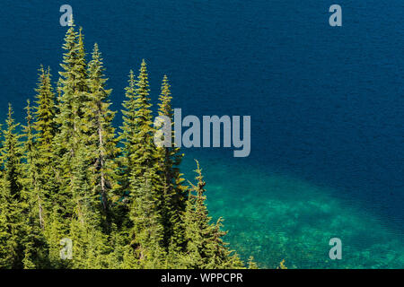 Firs and Mountain Hemlocks on the shore of Snow Lake, along Snow Lake Trail leading into the Alpine Lakes Wilderness, Mt. Baker–Snoqualmie National Fo Stock Photo