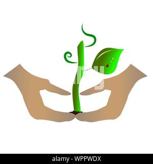 A fragile green sprout with drops and a ladybug in human hands. Stock Vector