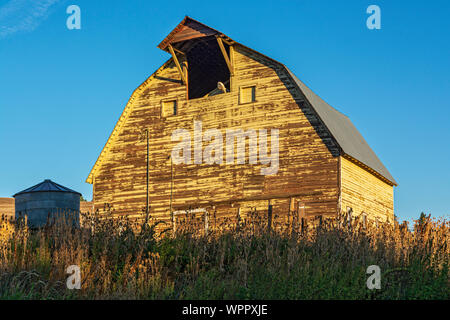Washington, Palouse Region, Hwy 26, wooden barn, fall season after harvest Stock Photo