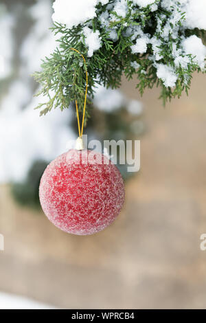 Christmas background - a beautiful red bauble on a snow-covered fir branch, natural greeting card, selective focus Stock Photo