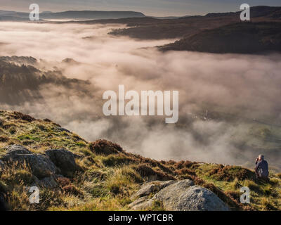Photographer shooting a Fog filled Valley, Capel Curig, Snowdonia National Park, North Wales, UK. MODEL RELEASED Stock Photo