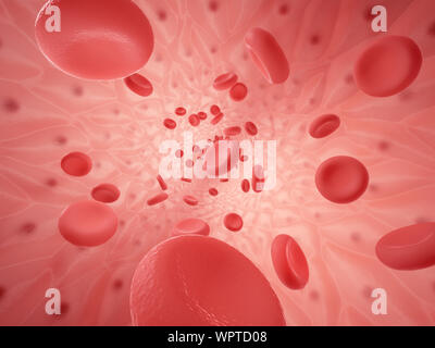 Inside space of empty healthy human anatomical vessel with red blood cells - erythrocytes and endothelium cells, 3d rendering