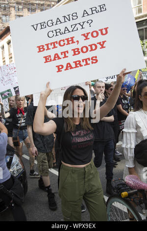 The Official Animal Rights March on August 24, 2019 filled Broadway at the Flatiron Building and marched to Tompkins Square Park in New York City. It called for the protection of all animals and to also 'Go Vegan' for the good of the planet. Stock Photo