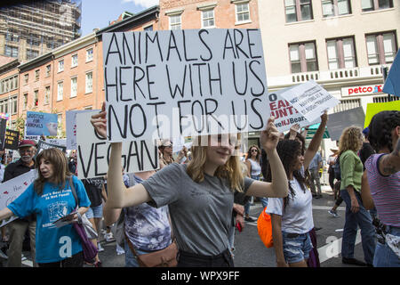 The Official Animal Rights March on August 24, 2019 filled Broadway at the Flatiron Building and marched to Tompkins Square Park in New York City. It called for the protection of all animals and to also 'Go Vegan' for the good of the planet. Stock Photo