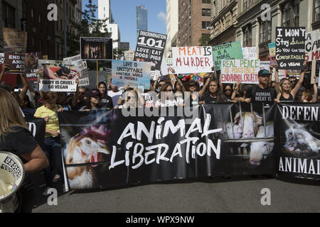 The Official Animal Rights March on August 24, 2019 filled Broadway at the Flatiron Building and marched to Tompkins Square Park in New York City. It called for the protection of all animals and to also 'Go Vegan' for the good of the planet. Stock Photo