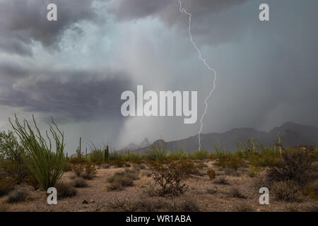 Lightning strikes in the Sonoran Desert as a strong thunderstorm rolls through the Ajo Mountains in Organ Pipe Cactus National Monument, Pima County, Stock Photo
