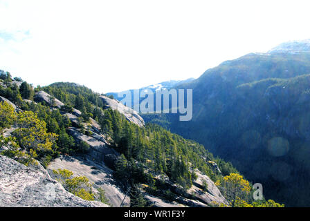 Granite rock and conifer forest views from Stawamus Chief mountain hiking trails, British Columbia, Canada Stock Photo