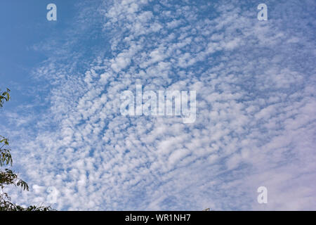 Cirrocumulus Stratiformis and altocumulus Clouds in a Bright Blue Sky with a bit of haze in the foreground Stock Photo