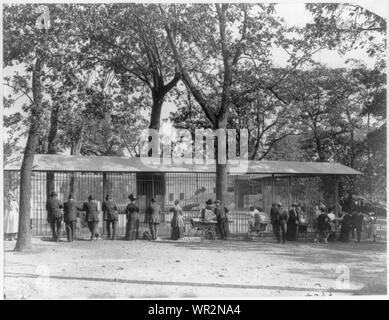 Mass. - Boston - Franklin Park Zoo in Jamaica Plain; view of visitors looking at bear cages Stock Photo