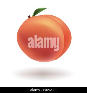 Vector illustration of fresh ripe juicy peach with a shadow isolated on a white background. Template for animation design, icon, logo, poster, yogurt Stock Vector