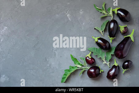 Ripe eggplants of different sizes on a gray concrete background. View from above. Stock Photo