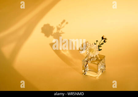 Flower arrangement on a yellow background. Yellow chrysanthemum. The concept of minimalism. Beautiful shadow. Stock Photo