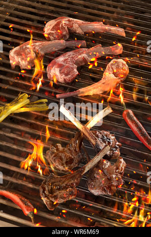 different roasting Meat and vegetables char-grilled over flame. picnic Stock Photo