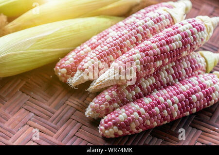 Colorful small ears waxy corns with silk, corn leaf on bamboo weave background for food and drink design. Stock Photo