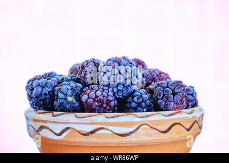 Frozen blackberries and red unripened ones, with a layer of frost on top, in a traditional, rustic clay pot, on a light pink background, under tungste Stock Photo