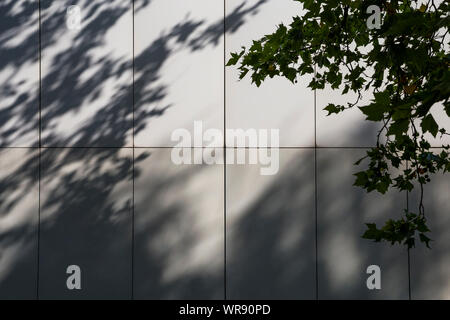 Leaf shadows fall on the cladding of an apartment block in Berlin, Germany Stock Photo