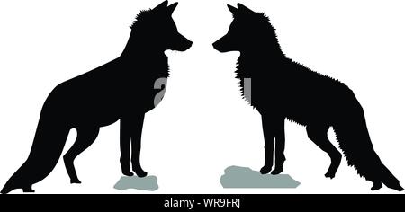 Black silhouettes of two red foxes (Vulpes vulpes). Slightly different vector shapes of two wild vixen from the side/profile, standing tall on a rock Stock Vector