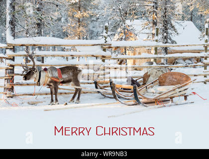 Christmas card, reindeer sleigh waiting for Santa in winter, text Merry Christmas Stock Photo