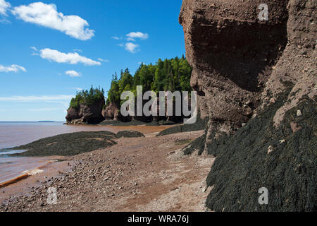 Rocks on the ocean floor at the edge of the bay of Fundy Hopewell Rocks New Brunswick Canada August 2016 Stock Photo