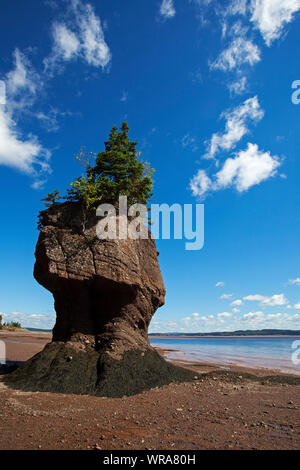 Mother-in-law rock Hopewell Rocks Bay of Fundy New Brunswick Canada August 2016 Stock Photo
