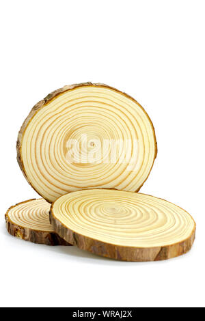 Three natural round wooden branches on a white background Stock Photo