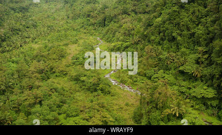 River in the valley among the rainforest, covered with trees and jungle aerial view. River in the green forest. Camiguin, Philippines. Stock Photo