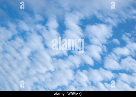 Lines of small white fluffy clouds against a blue sky Stock Photo