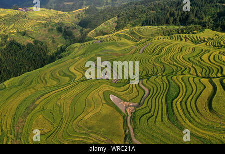 An aerial view of the Jiabang rice terraces in Congjiang County, Qiandongnan Miao and Dong Autonomous Prefecture, southwest China's Guizhou Province o Stock Photo