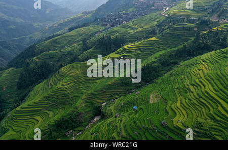 An aerial view of the Jiabang rice terraces in Congjiang County, Qiandongnan Miao and Dong Autonomous Prefecture, southwest China's Guizhou Province o Stock Photo