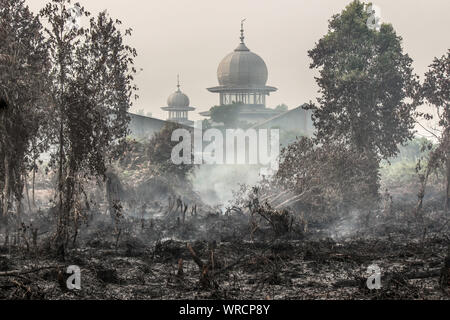 September 4, 2019: RIAU, INDONESIA - SEPTEMBER 10, 2019: Peatlands are seen burning near residential areas in Riau, Indonesia on September 10, 2019. Huge fires are raging across vast swathes of Indonesia's rainforests, some of the world's biggest with toxic smog shutting hundreds of schools in Southeast Asia, officials said. Credit: Dedy Sutisna/ZUMA Wire/Alamy Live News Stock Photo