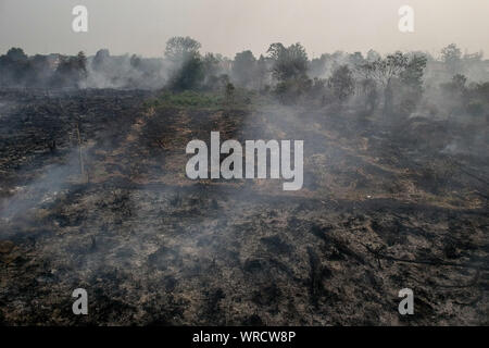 September 4, 2019: RIAU, INDONESIA - SEPTEMBER 10, 2019: Peatlands are seen burning near residential areas in Riau, Indonesia on September 10, 2019. Huge fires are raging across vast swathes of Indonesia's rainforests, some of the world's biggest with toxic smog shutting hundreds of schools in Southeast Asia, officials said. (Credit Image: © Dedy Sutisna/ZUMA Wire) Stock Photo