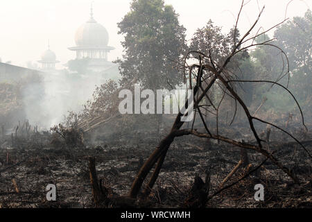 September 4, 2019: RIAU, INDONESIA - SEPTEMBER 10, 2019: Peatlands are seen burning near residential areas in Riau, Indonesia on September 10, 2019. Huge fires are raging across vast swathes of Indonesia's rainforests, some of the world's biggest with toxic smog shutting hundreds of schools in Southeast Asia, officials said. (Credit Image: © Dedy Sutisna/ZUMA Wire) Stock Photo