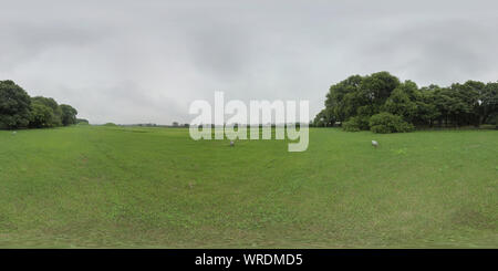 360 degree panoramic view of Gyeongju, South Korea 27 August 2019: 360VR World Heritage Site Gyeongju Historic Areas.