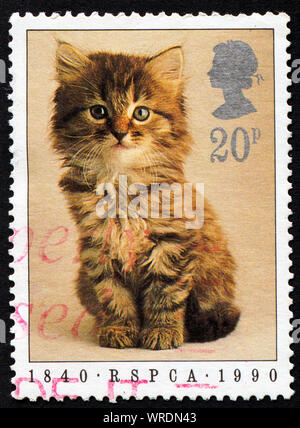 Stamp printed in England showing a cat, circa 1990 Stock Photo