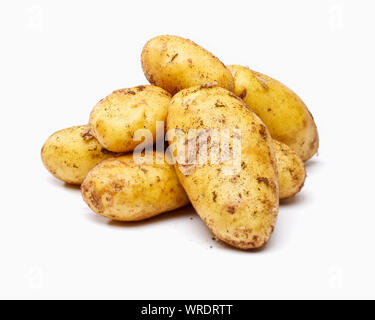 New potatoes on a white background Stock Photo