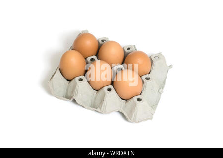 Six chicken eggs in egg box isolated on white background. Stock Photo