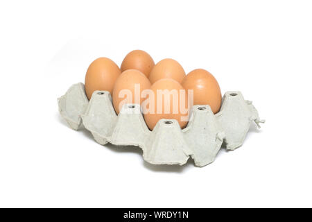 Six chicken eggs in egg box isolated on white background. Stock Photo